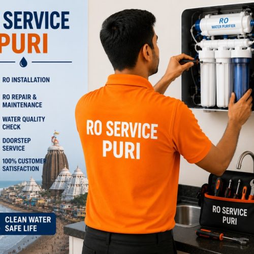 RO service Puri